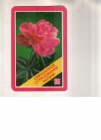 Календарик 1984 Страхование Госстрах цветы