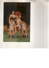 Календарик 1984 Цирк кошки тигр