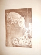 Старинная литография.ВАЛЬТЕР.ДВЕ СЕМЬИ(лошади и собаки), Россия до 1917г. 40на31см - вид 6