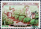  СССР 1951 год . 30 лет Грузинской ССР . Сбор чая . Каталог 6,0 € (2)
