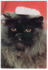 Календарик на 1997 год Кошка