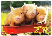 Календарик на 2019 год Год свиньи