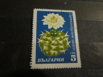  Марка Цветок Кактуса Болгария 1970 г.