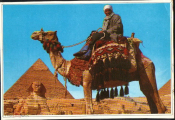 Открытка Египет сфинкс Гиза пирамида верблюд Бедуин араб египтянин Африка иностранная 60-е чистая