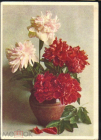 Открытка СССР 1959 г. ПИОНЫ Цветы, флора. фото Аполлона Шерстнева ДМПК подписана