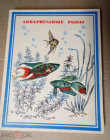 Сувенирный набор спички Аквариумные рыбы СССР 28 пустых коробков. Балабановская ф-ка