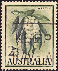 Австралия 1959 год . Флора , Австралийская акация .(2)