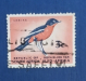 Южная Африка 1961 Малиногрудый сорокопут Sc# 272 Used
