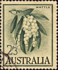 Австралия 1959 год . Флора , Австралийская акация .(5)