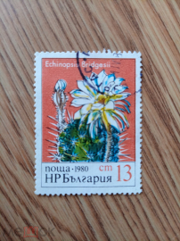 Флора. Кактус Эхинопсис. Болгария. 1980г. Марки 1 шт.