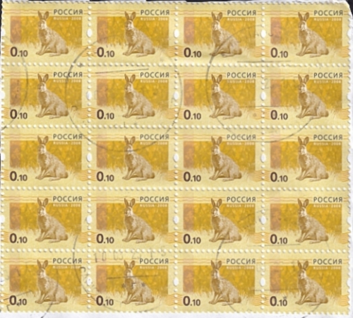Россия 2008 год . Европейский заяц (вырезка) . Каталог 6,0 €